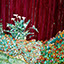 Off-Street Lilies, painting by Pescatore, subject lilies against a red fence in Alameda, California, oil, 36x48, ©1987, category LAND
